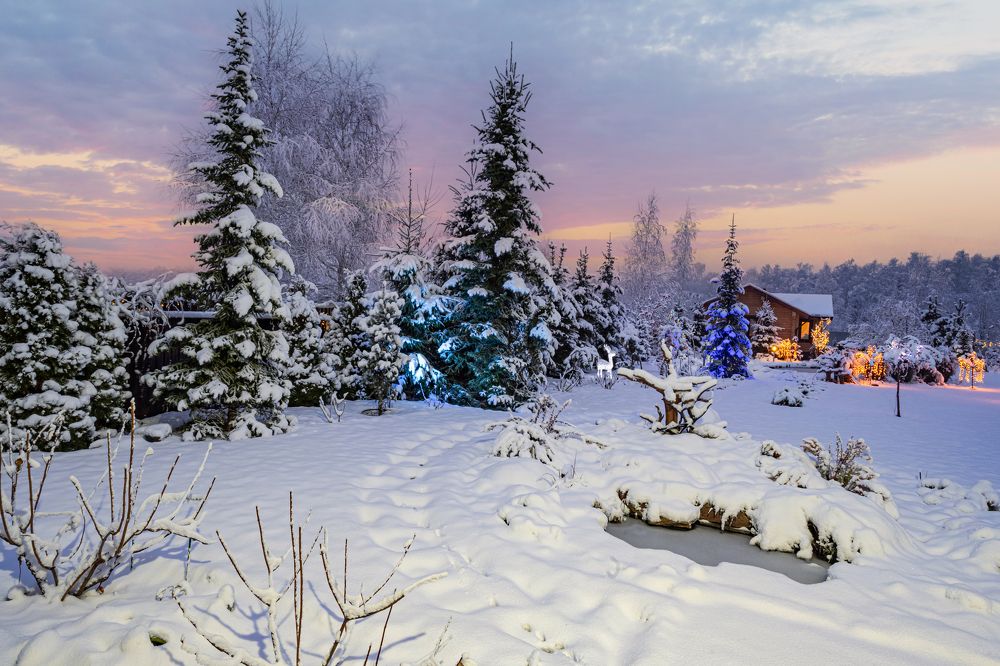 Photograph by NADEZHDA PELYMSKAIA