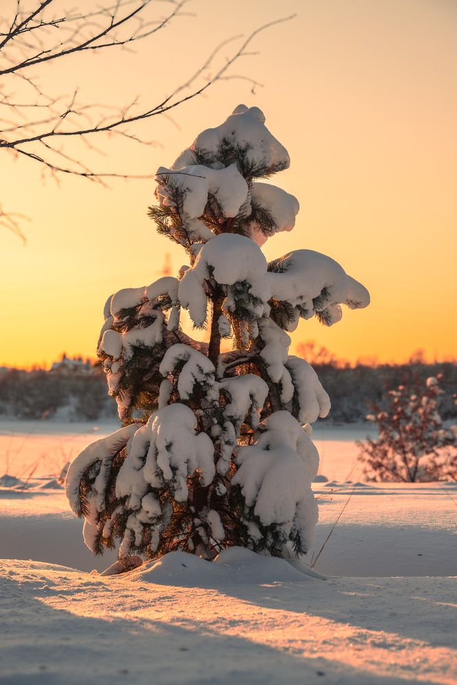 Photograph by Сергей Зимин