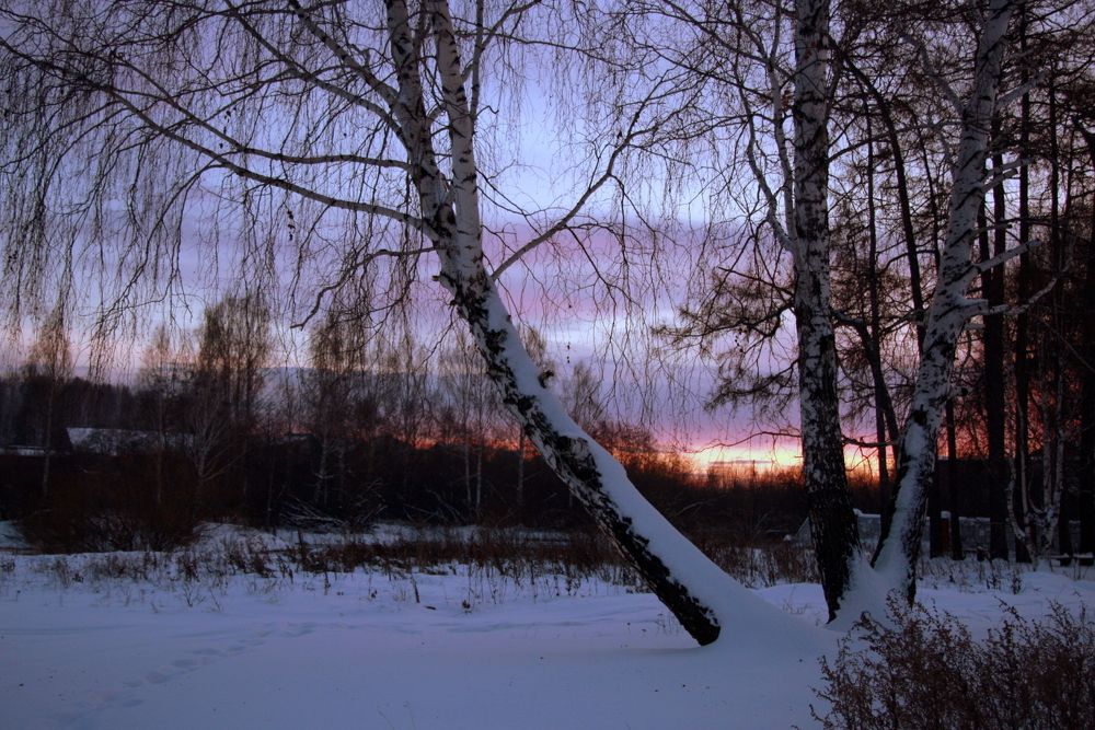 Фотография автора Nelya  Lysenko