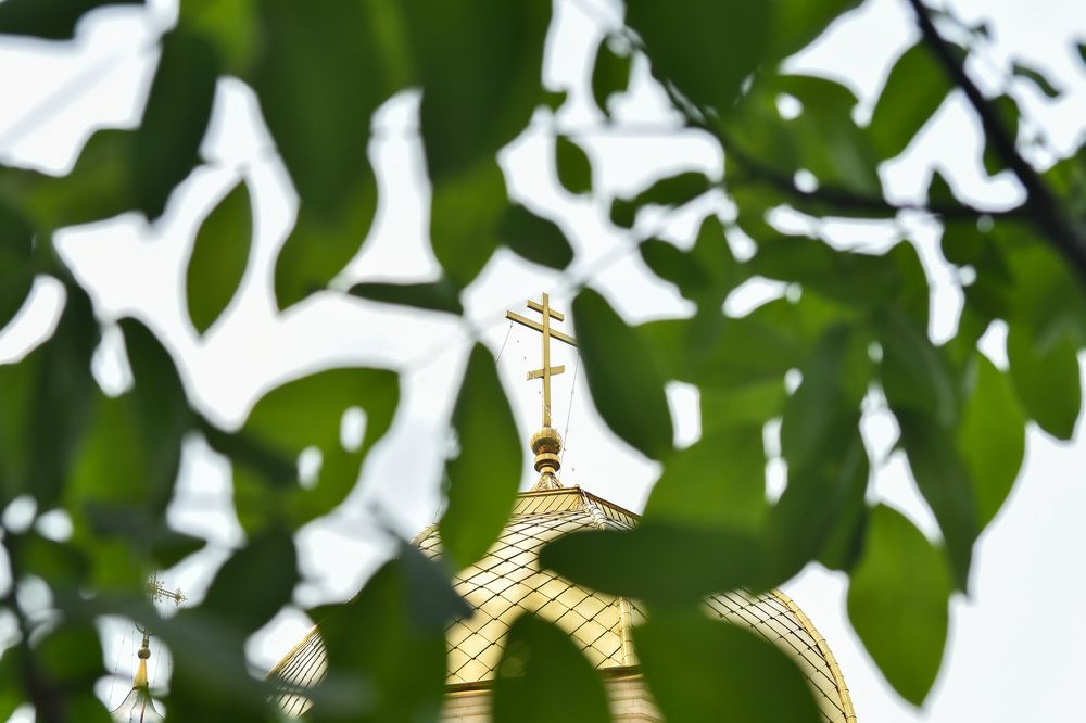 Photograph by Veaceslav Cornei