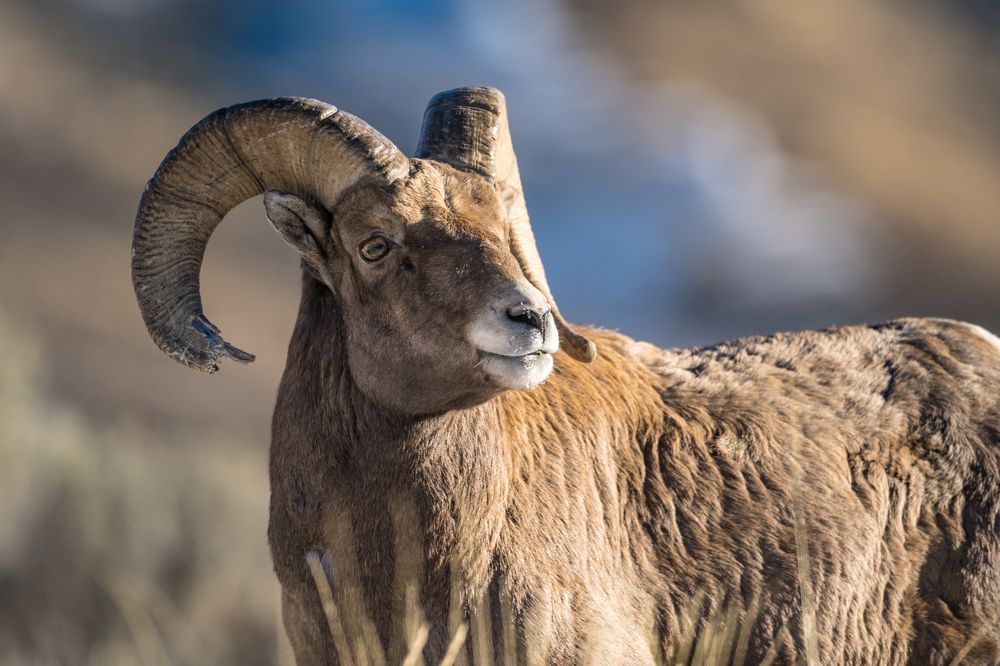 Photograph by Tony Douzenis