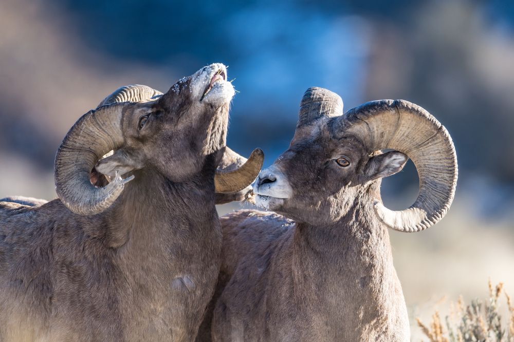 Photograph by Tony Douzenis