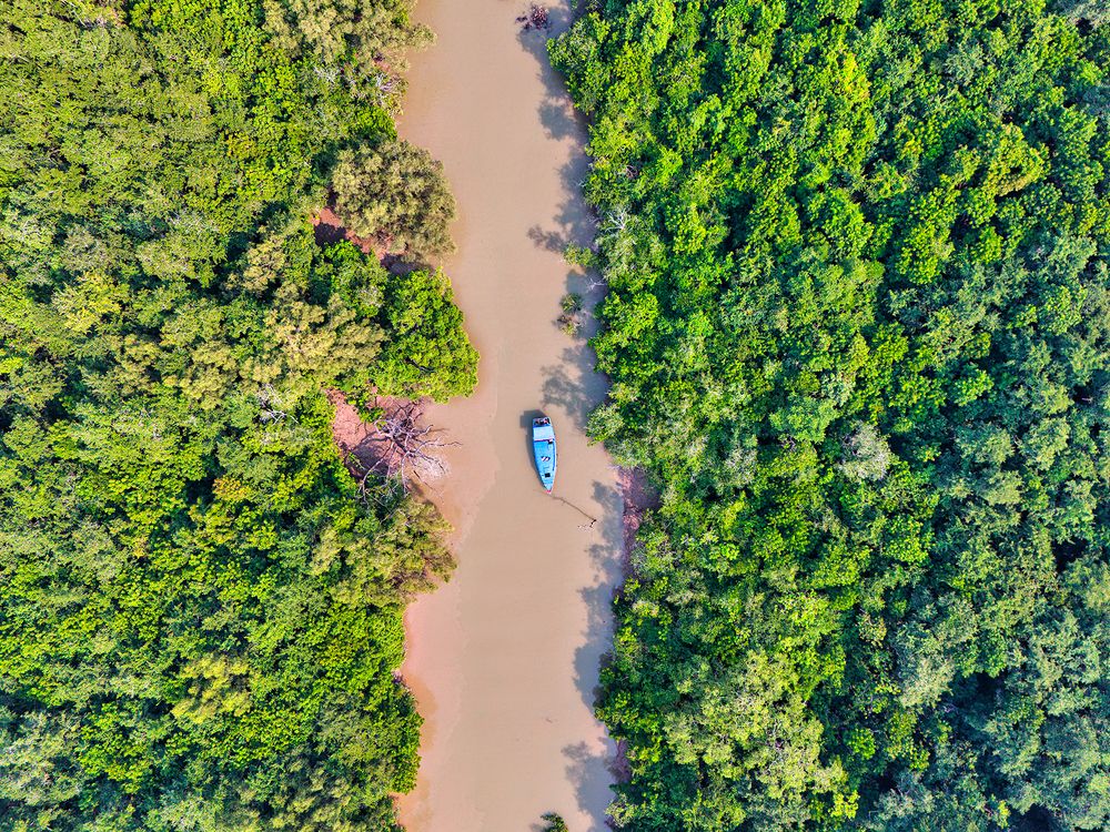 Фотография автора Sudipta Chakraborty