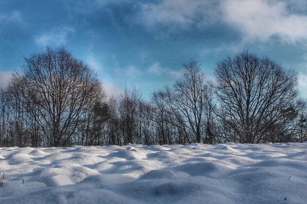 Под снежным покрывалом