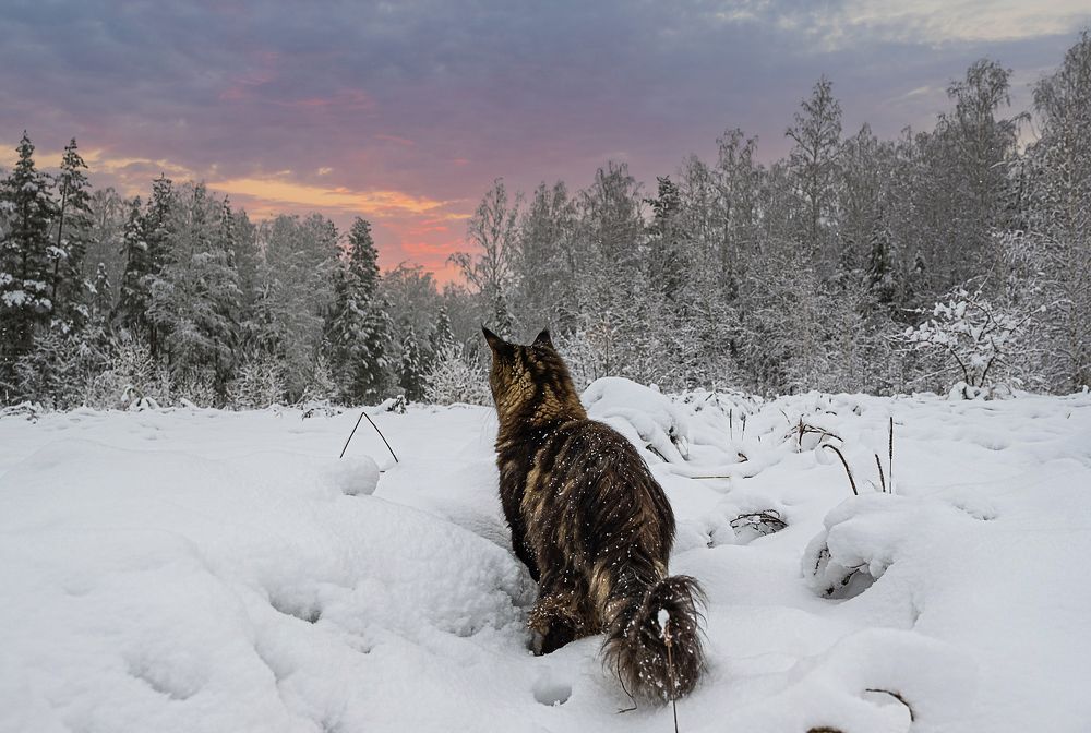 Photograph by NADEZHDA PELYMSKAIA