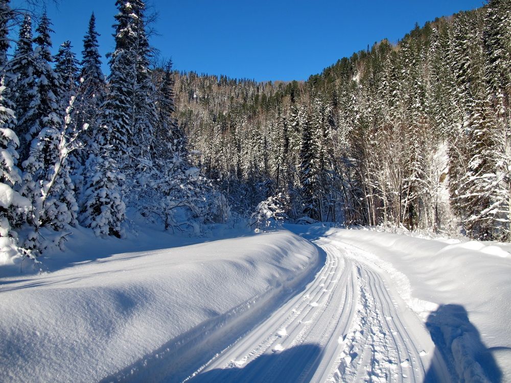 Фотография автора Сергей Тимофеев