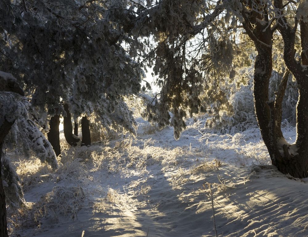 Photograph by юрий Запяткин