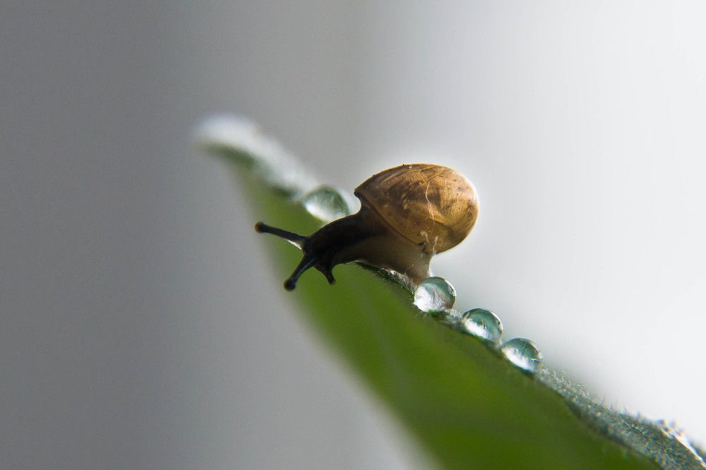 Фотография автора Юлия Кранина