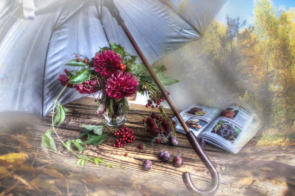 Фотография автора Юлия Кранина