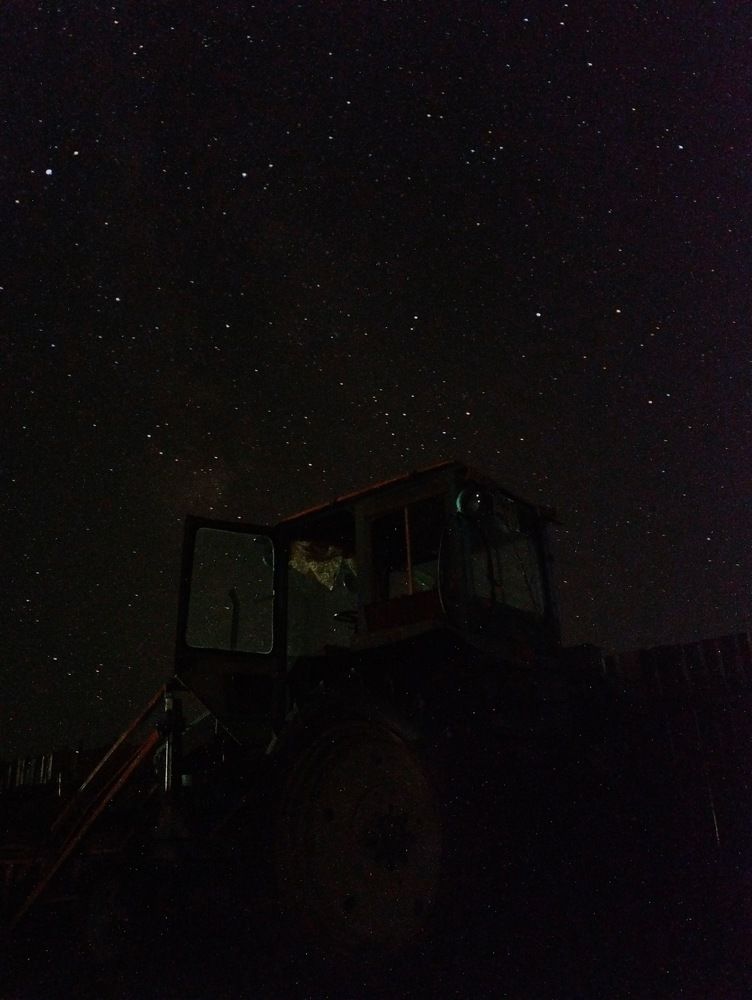 Photo #10054127