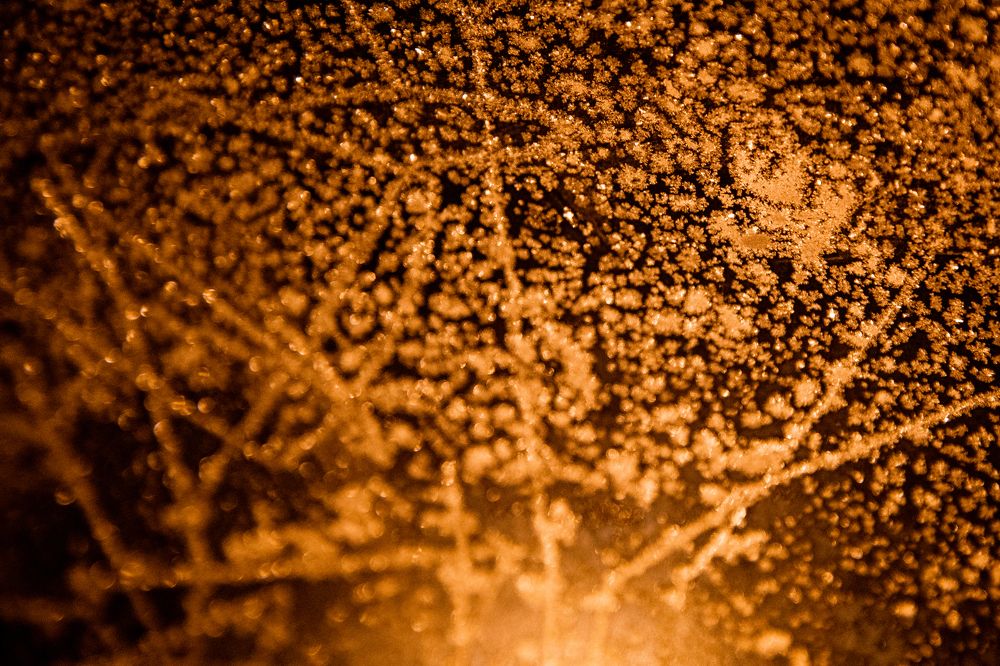 Фотография автора Станислава Гордеева