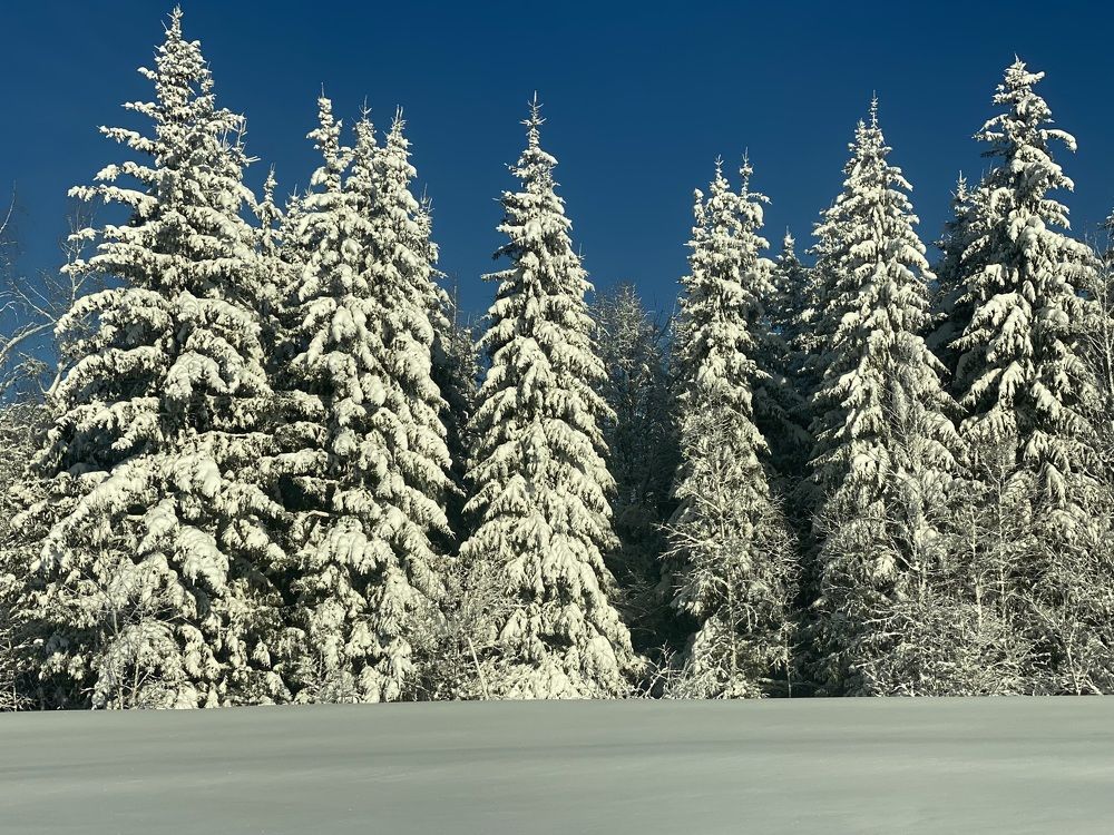 Фотография автора ГУЗАЛИЯ ГАНИЕВА