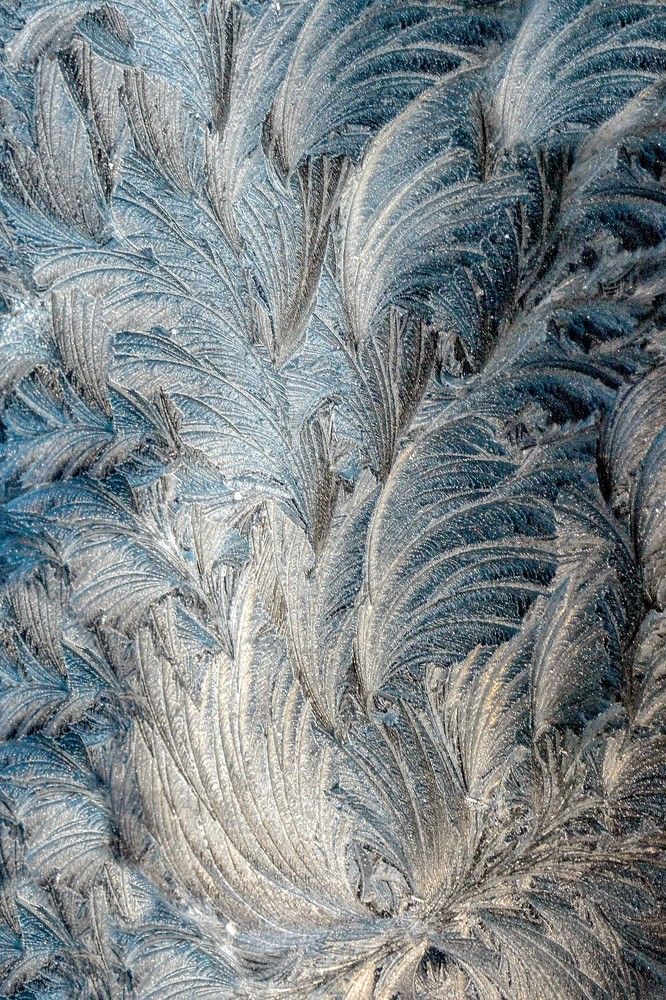 Фотография автора Linards Onzuls