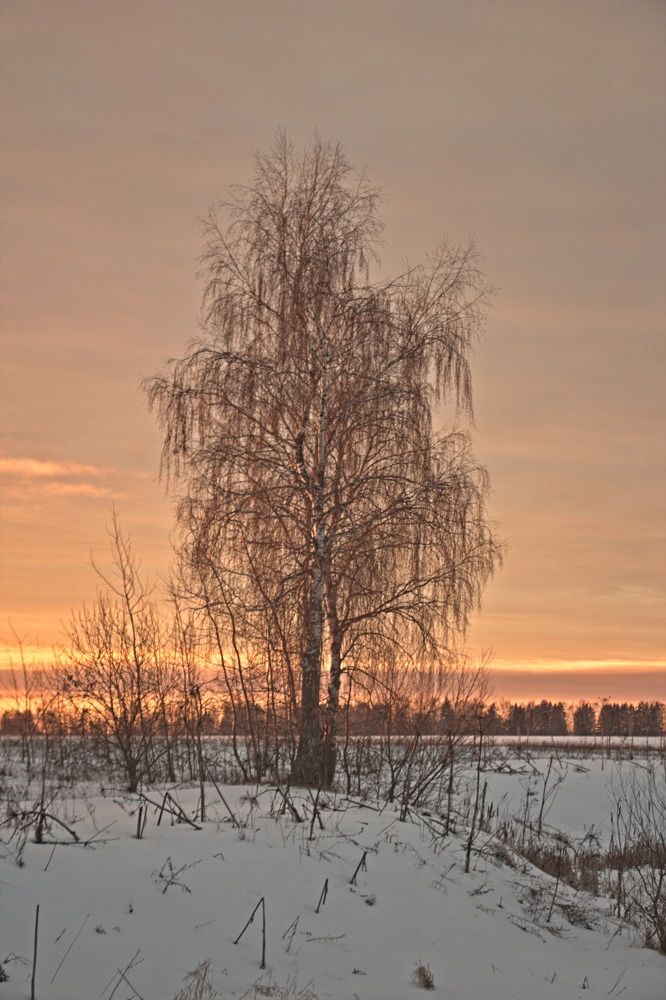 Фотография автора Бронислав Краснер
