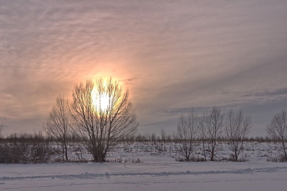 Фотография автора Бронислав Краснер