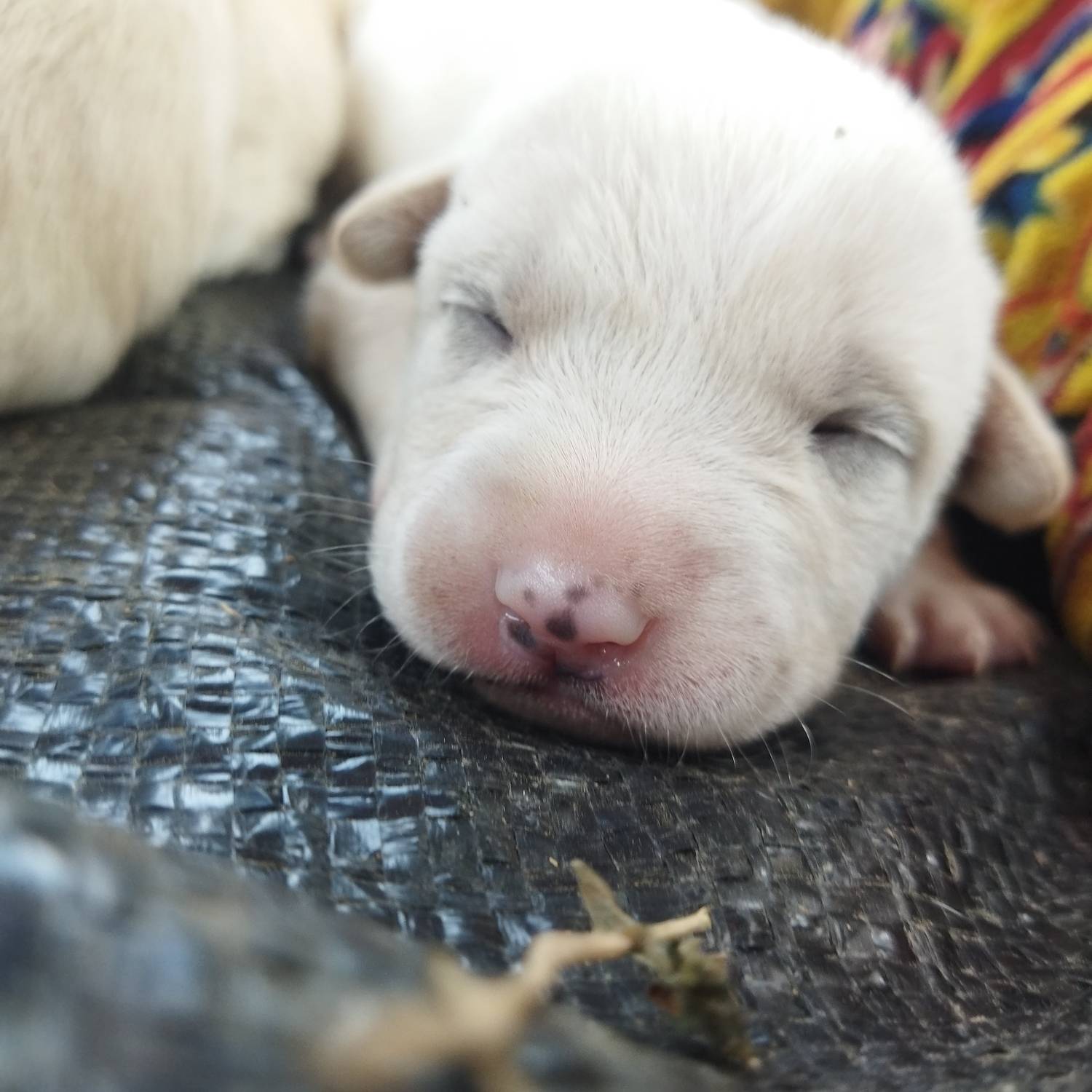Photo #10054235