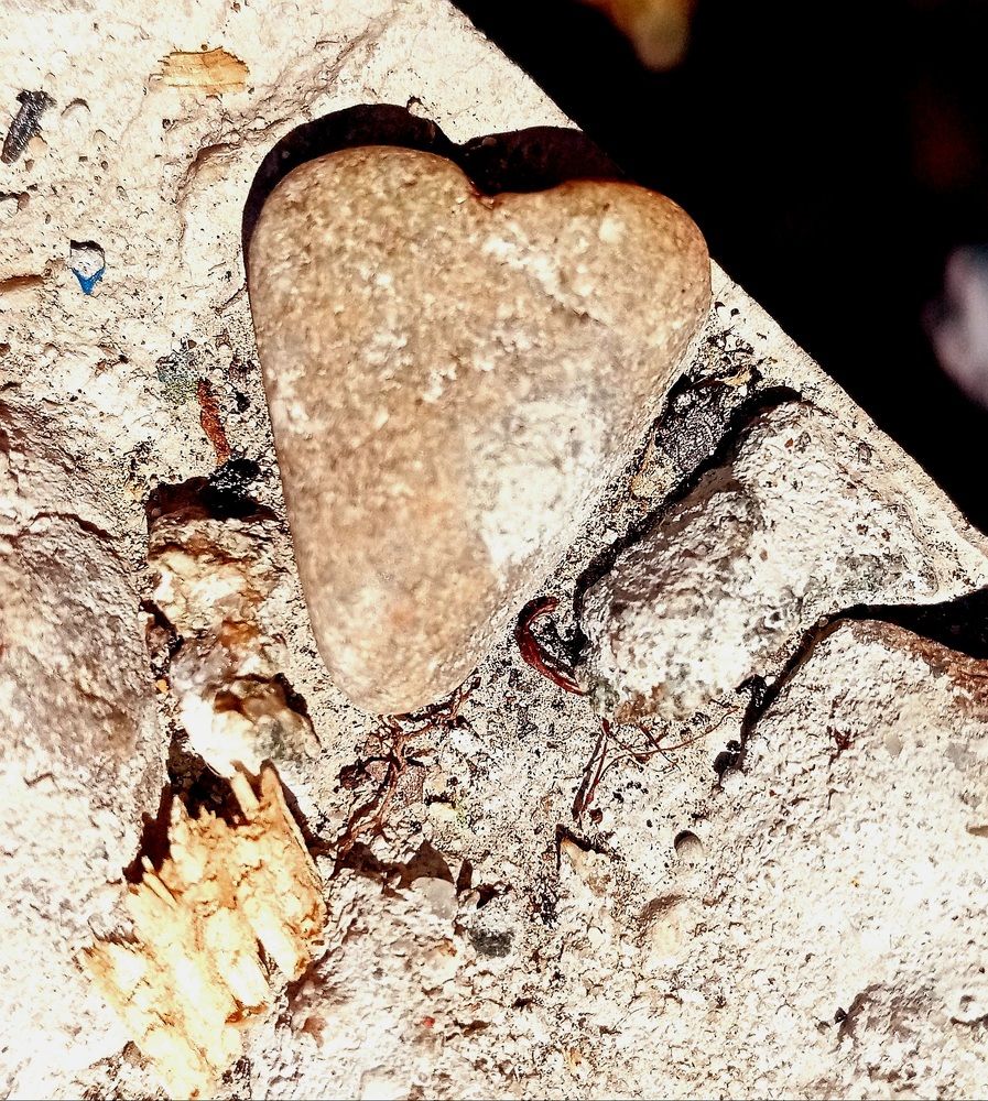 Photograph by Виктория Ткачева