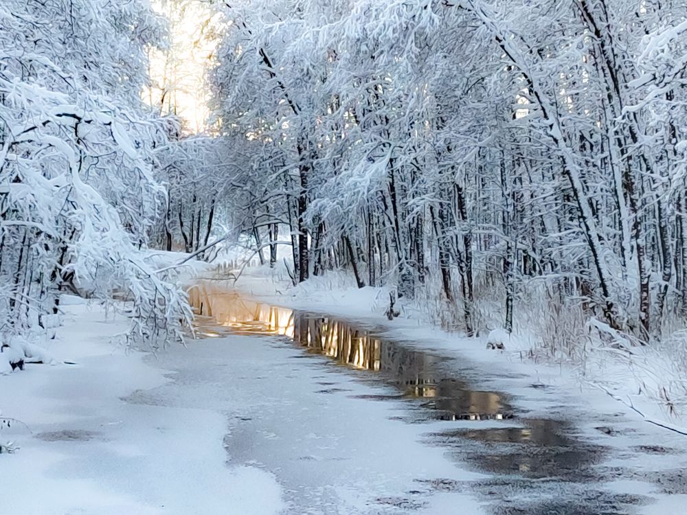 Photograph by Алёна Пшеленская