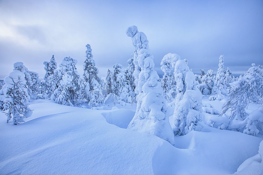 Photograph by Липецких Владимир
