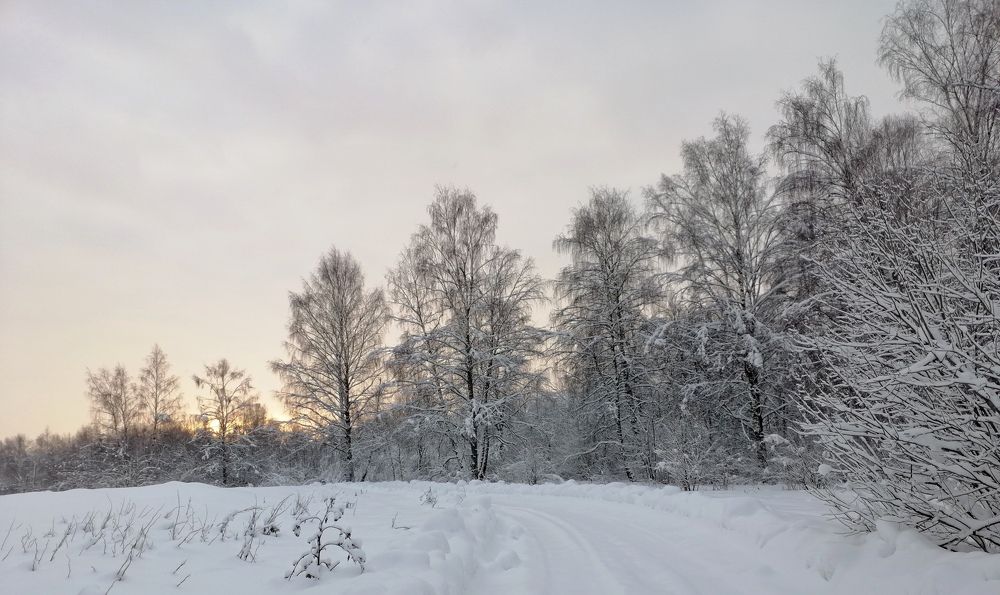 Photograph by Михаил Попов