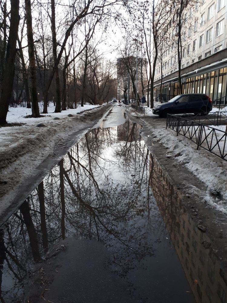 Photograph by Людмила Ковалева