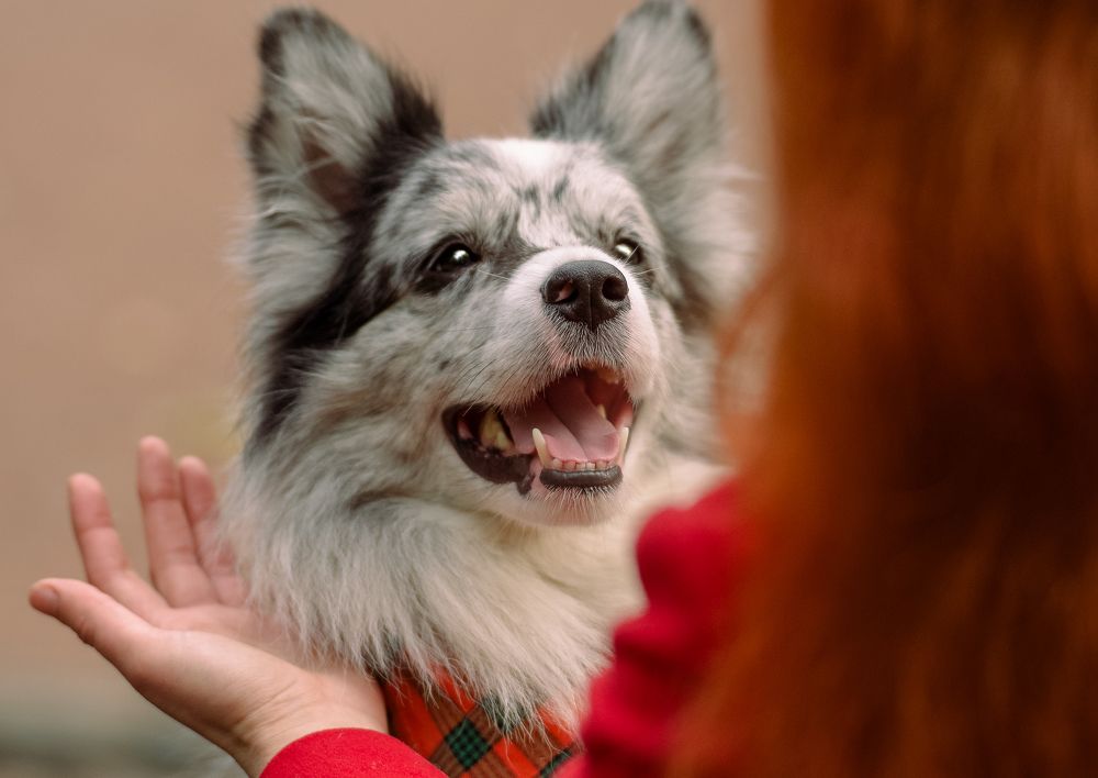 Photograph by Марина Суздаль