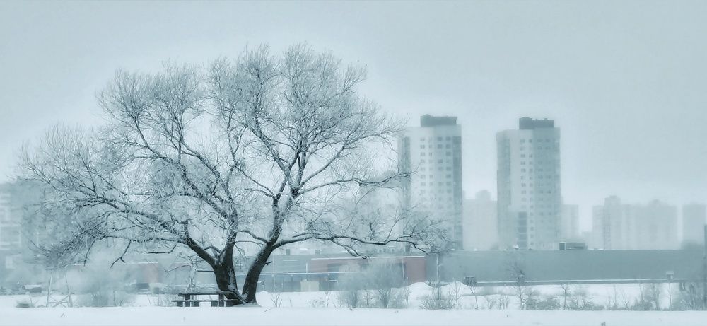 Фотография автора Максим Светличный