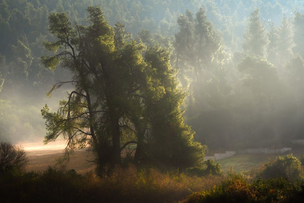 Photograph by Nikos(Nougzari) Leonov