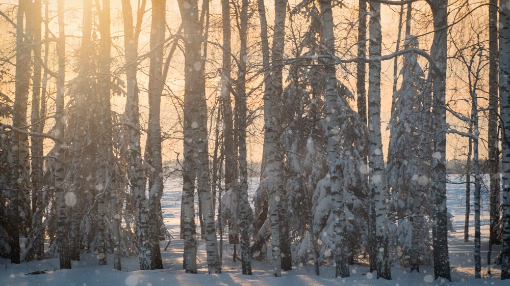 Photograph by Тамара Вотинцева