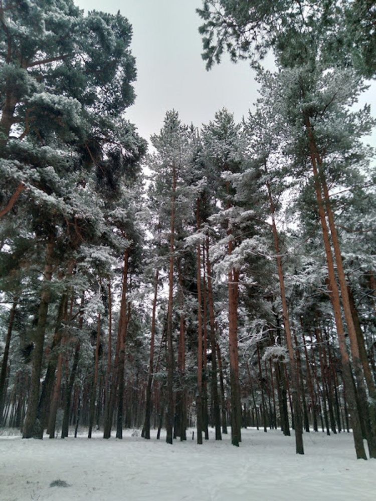 Photograph by Ася Кузьмина