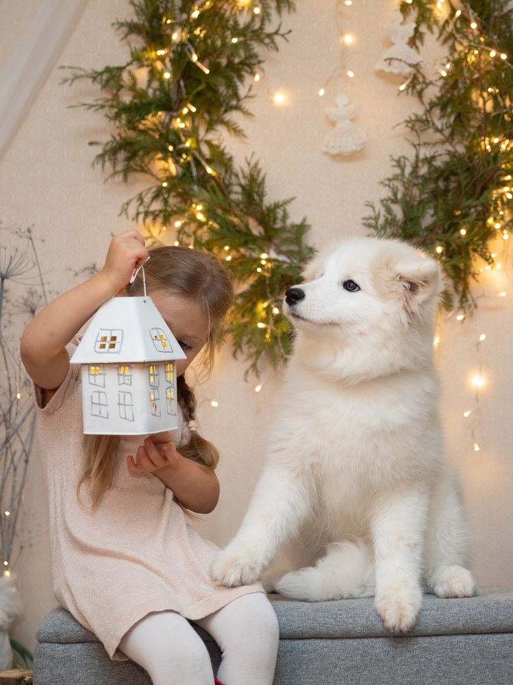 Photograph by Rasita Li