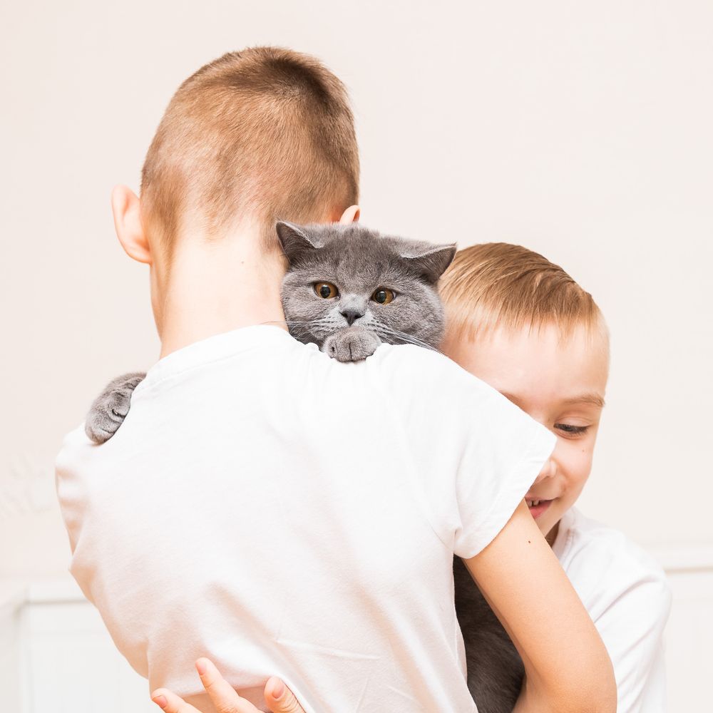 Photograph by Rasita Li