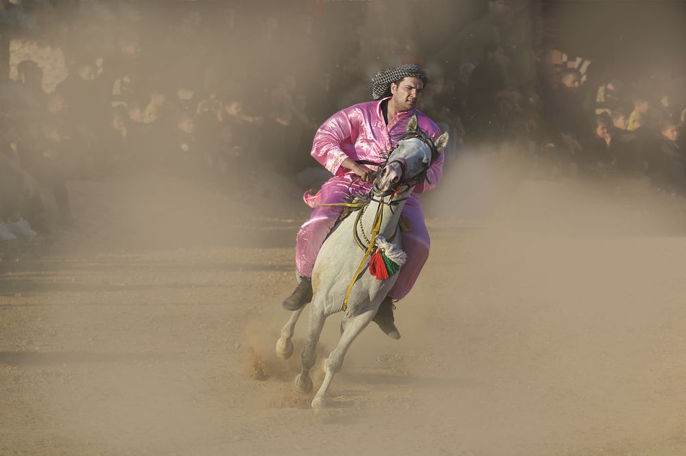 Photograph by seyedmohamad tabrizi