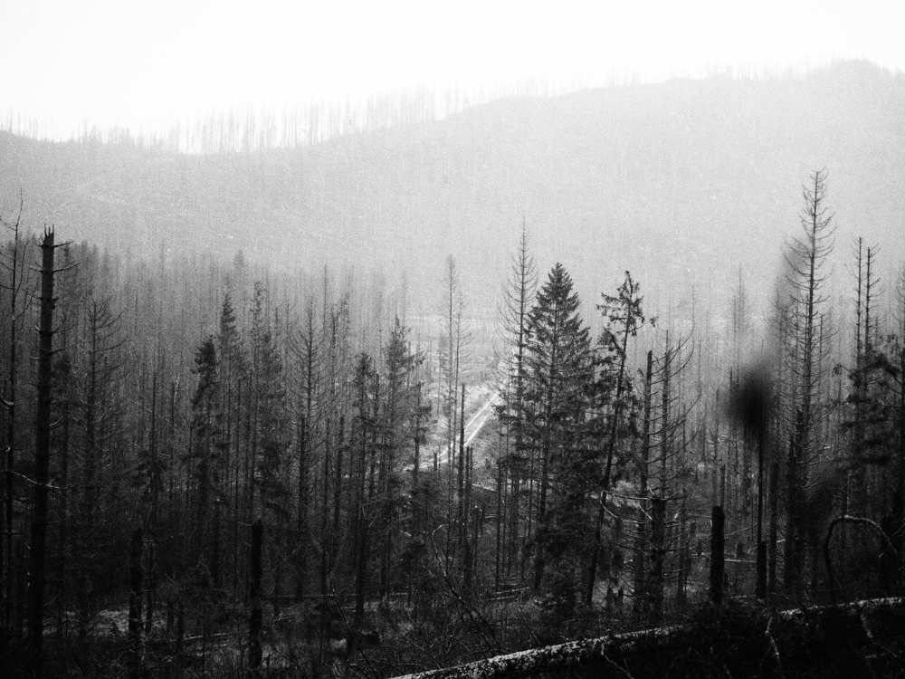 Photograph by Hermann Alexandra