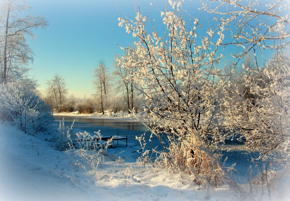 Фотография автора Nelya  Lysenko