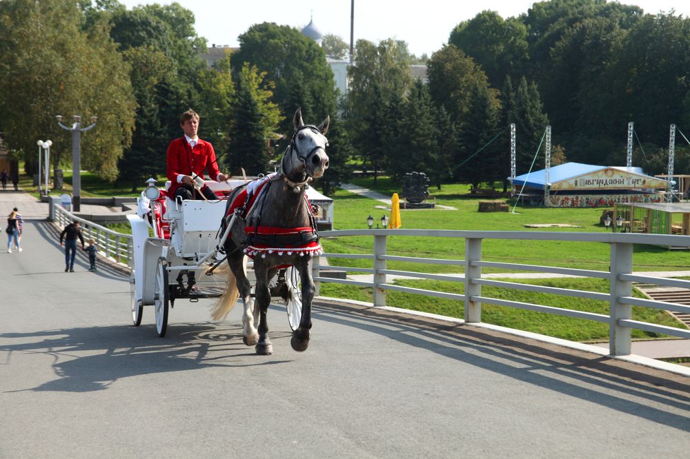 Photograph by Мария Самоловова