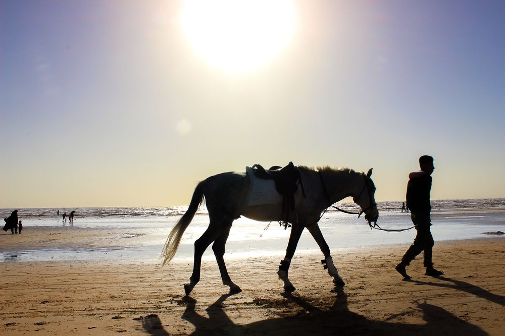 Photograph by seyedmohamad tabrizi