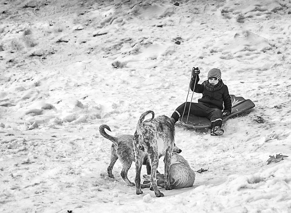 Photograph by mohsenzadeh mahnaz