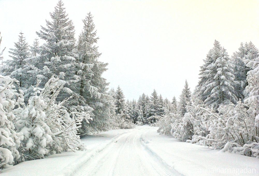 Photograph by Людмила