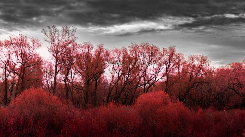 Photograph by Victoria Popkova