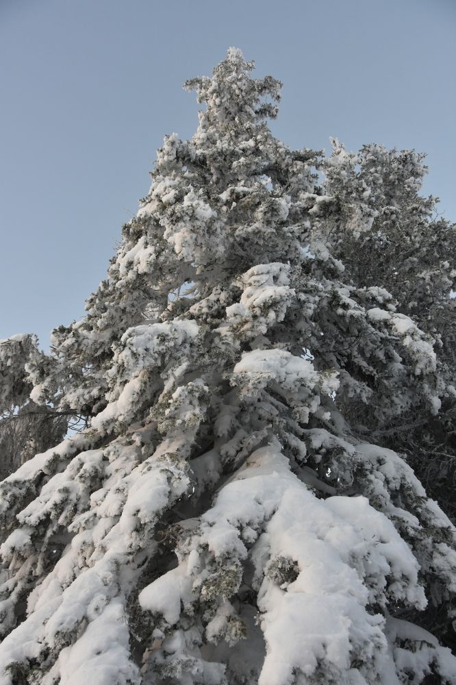 Photograph by Евгений Захаров