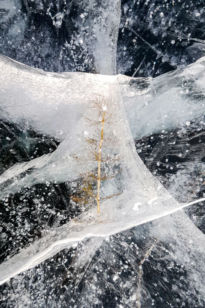 Photograph by Zelyanina Svetlana