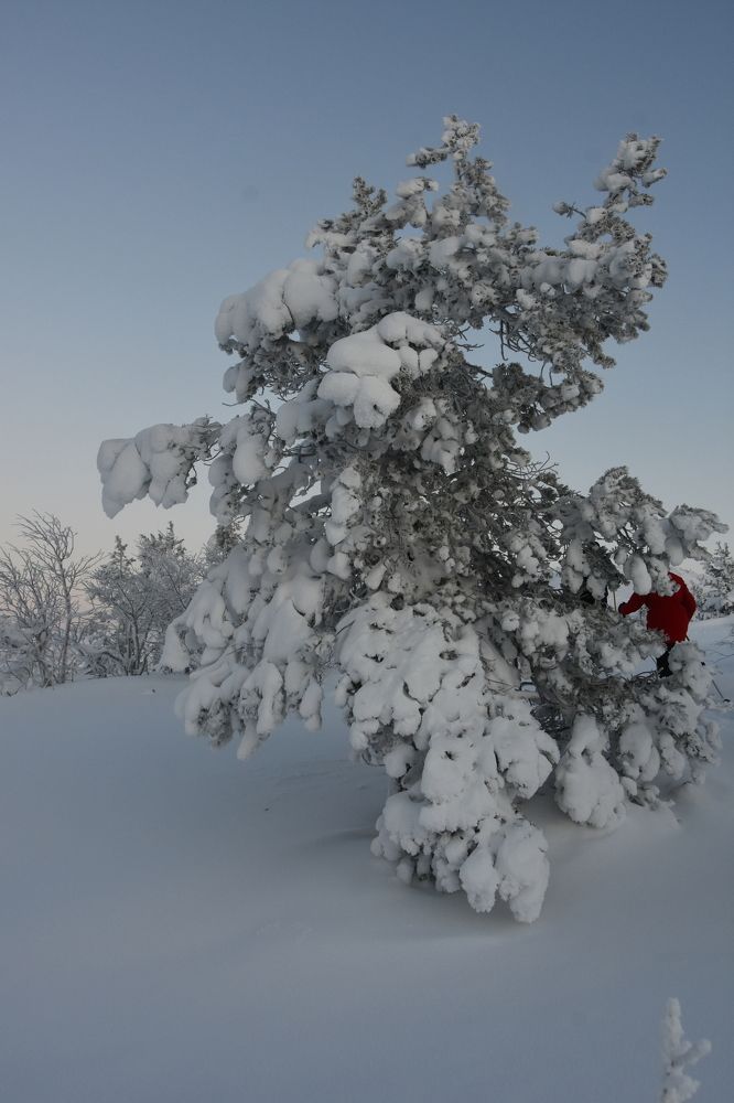 Photograph by Евгений Захаров