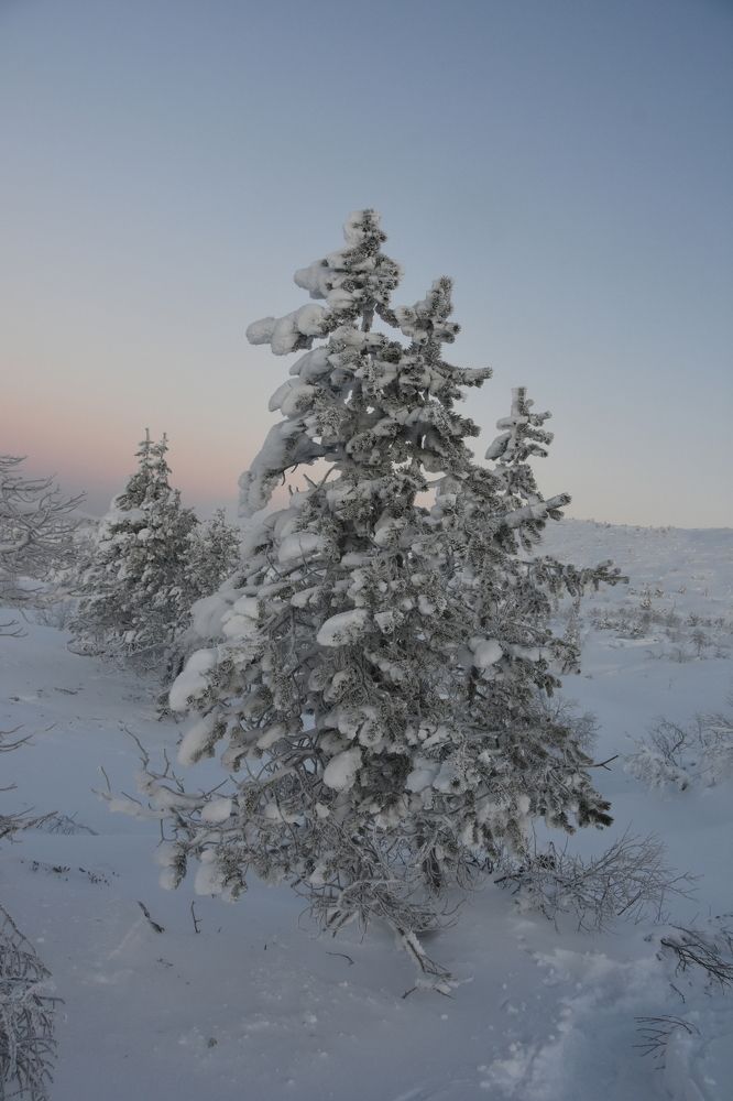 Photograph by Евгений Захаров
