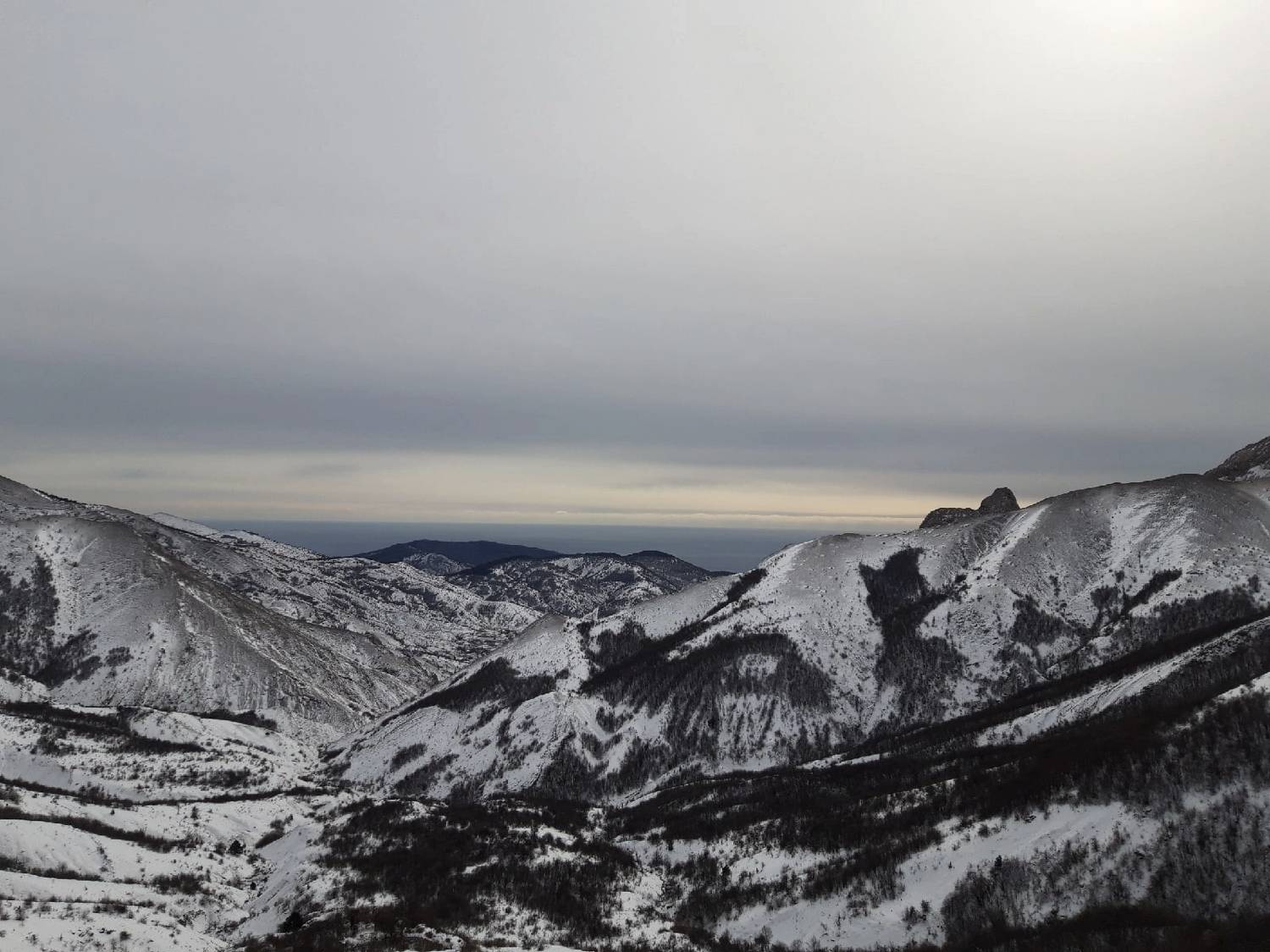 Photo #10054604
