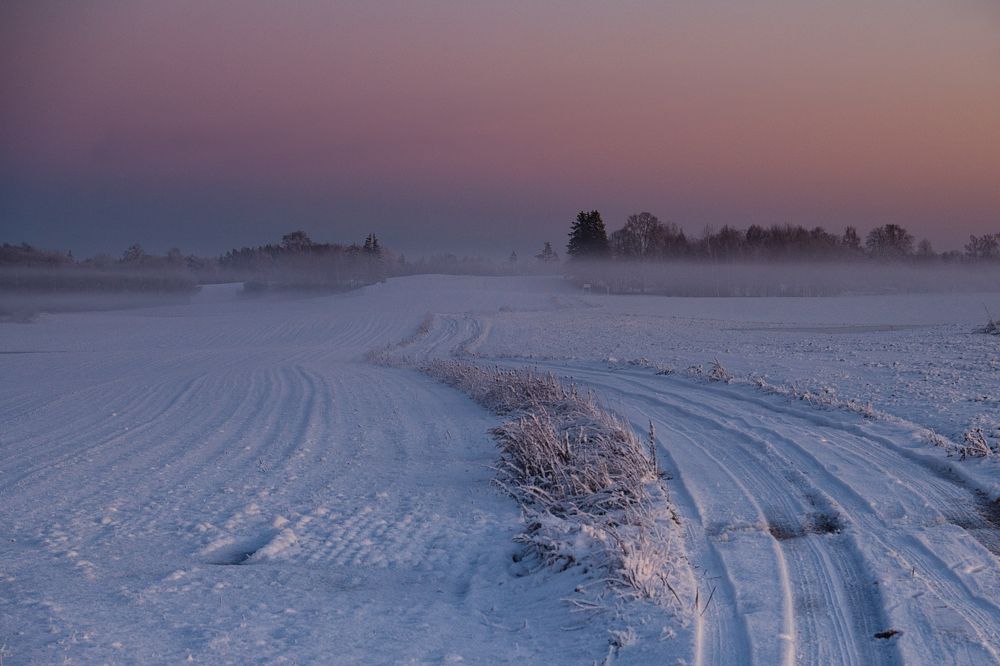 Photograph by Janis Serdienis