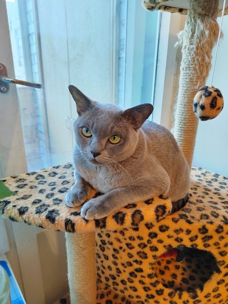 Photograph by Faeron79