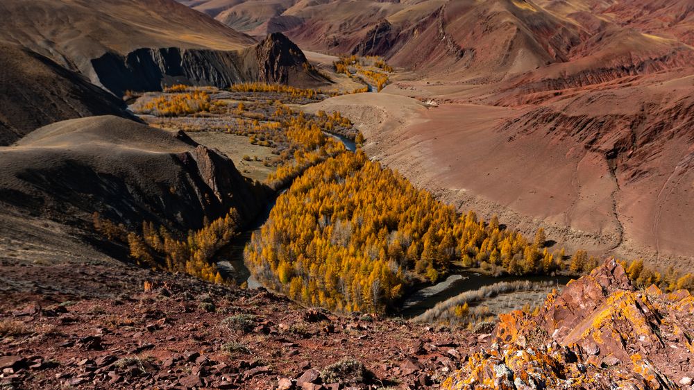 Photograph by Zelyanina Svetlana