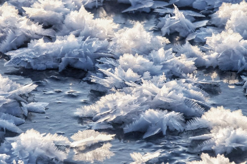 Photograph by Olga Asson
