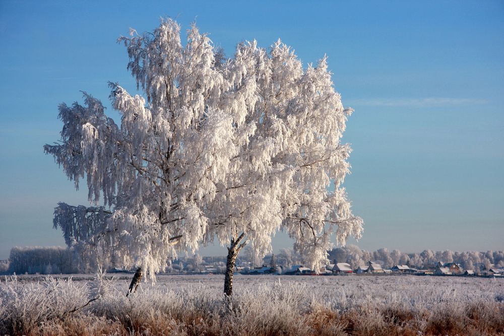 Фотография автора Nelya  Lysenko